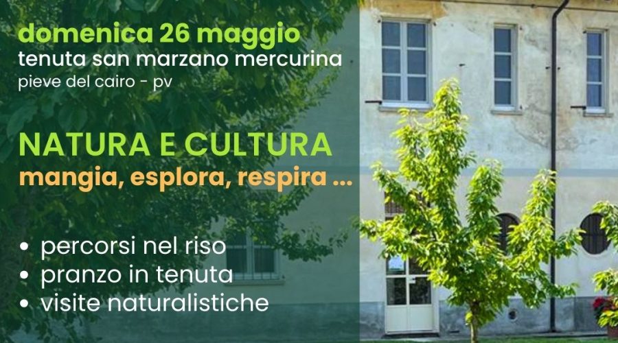 Benvenuti in Lomellina Tenuta San Marzano Mercurina