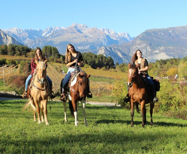 Freedome passeggiata a cavallo