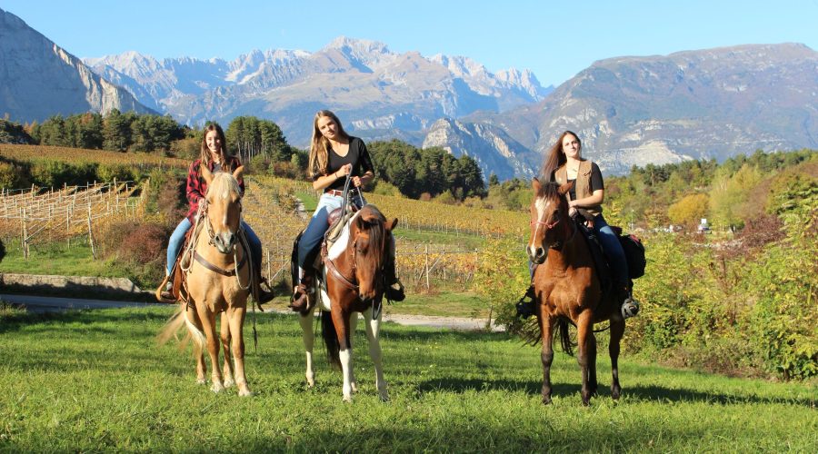 Freedome passeggiata a cavallo