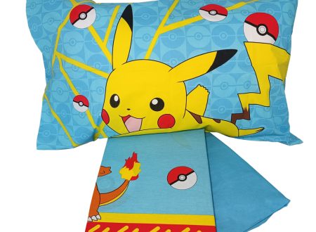 collezioni Hermet Pokemon