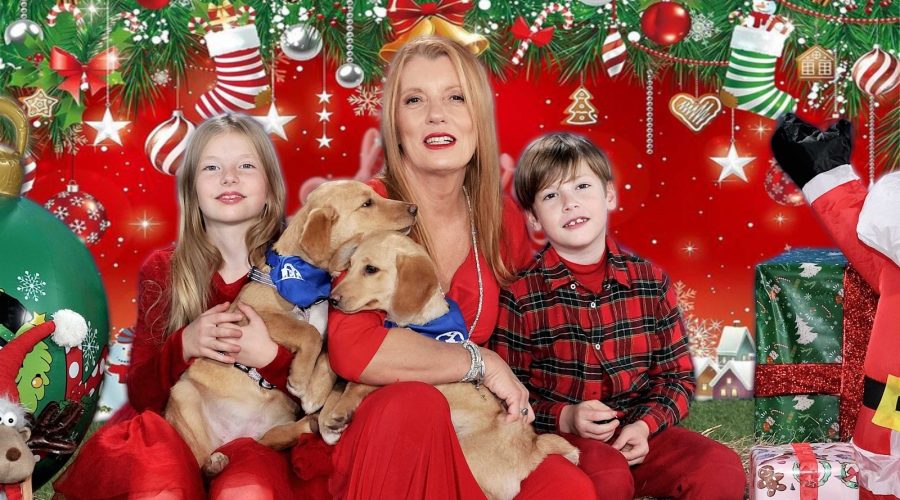 Onorevole Brambilla 3