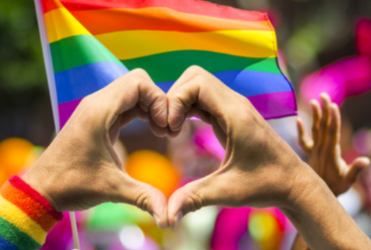 La Consulta: due madri possono riconoscere legalmente il figlio