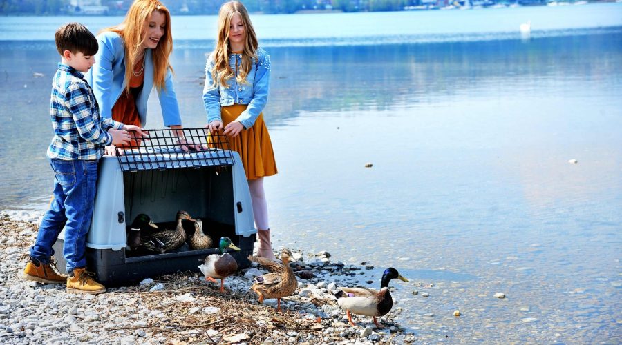 Michela Vittoria Brambilla dalla parte degli animali 2