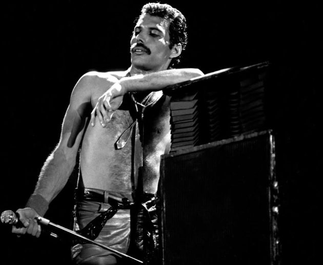 Freddie Mercury 1