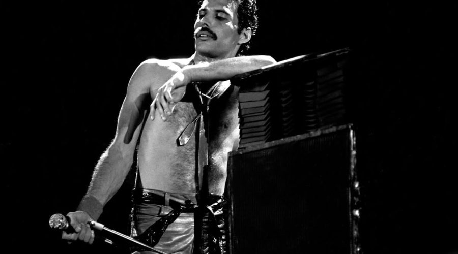 Freddie Mercury 1
