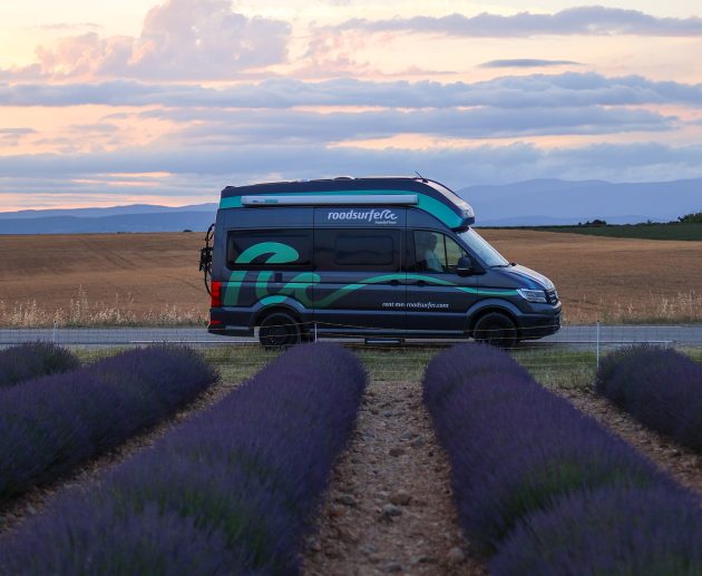 road surfer lavanda