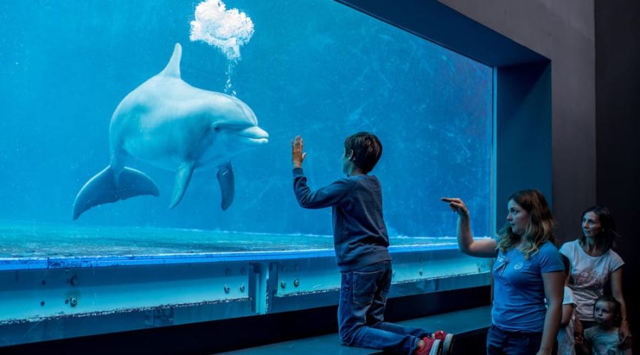 Acquario di Genova ph press 2