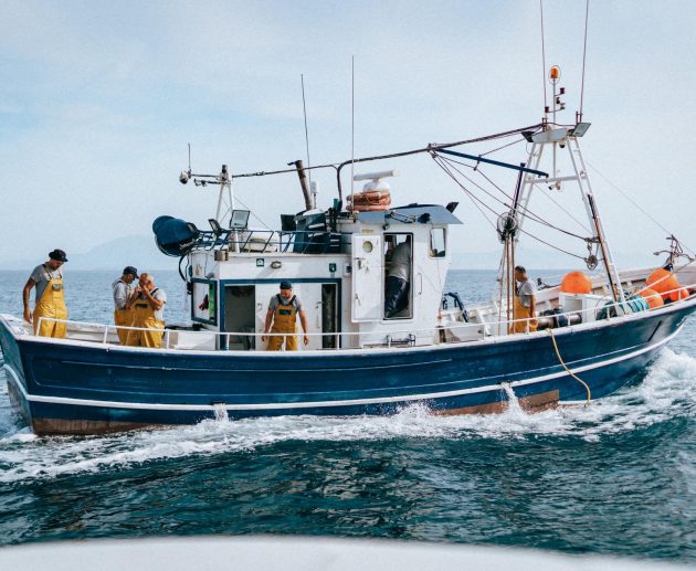 MSC Marine Stewardship Council ph Press