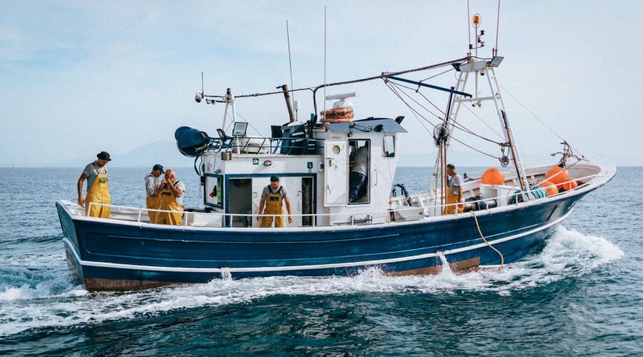 MSC Marine Stewardship Council ph Press