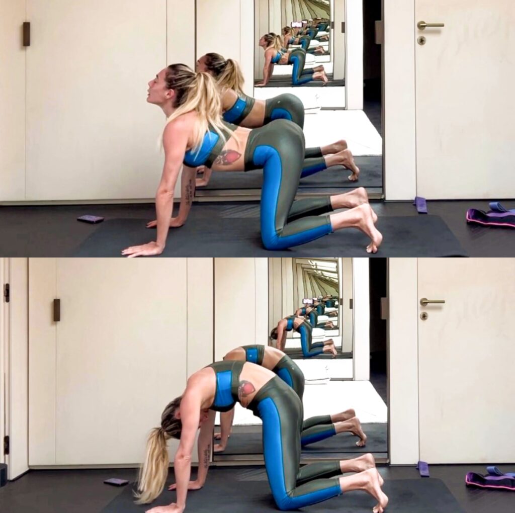 MSB Trainig_mobilità in quadrupedia cat-cow