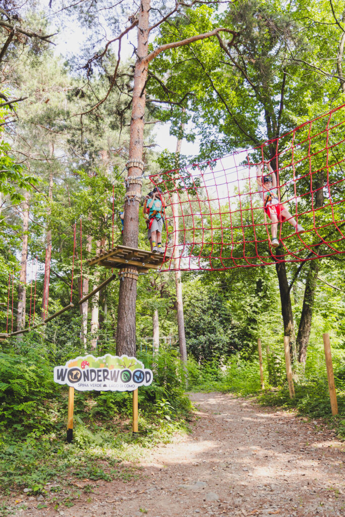 Wonderwood Spina Verde ph press