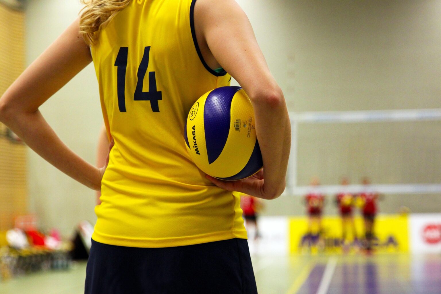 Pallavolo - Iniziativa Vero Volley ph Pixabay