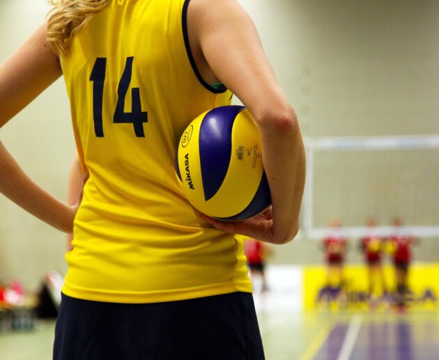 Pallavolo - Iniziativa Vero Volley ph Pixabay