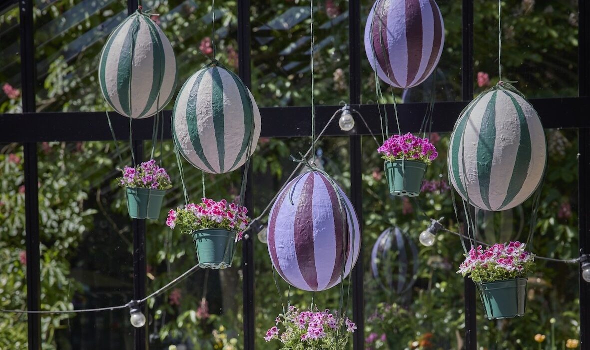 gerani ph Pelargonium for Europe