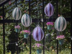 gerani ph Pelargonium for Europe