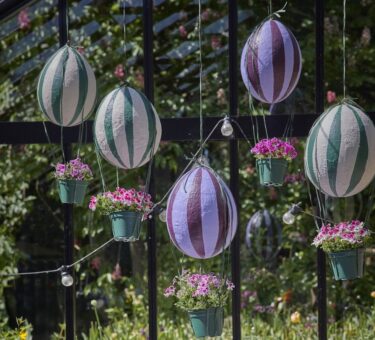 gerani ph Pelargonium for Europe