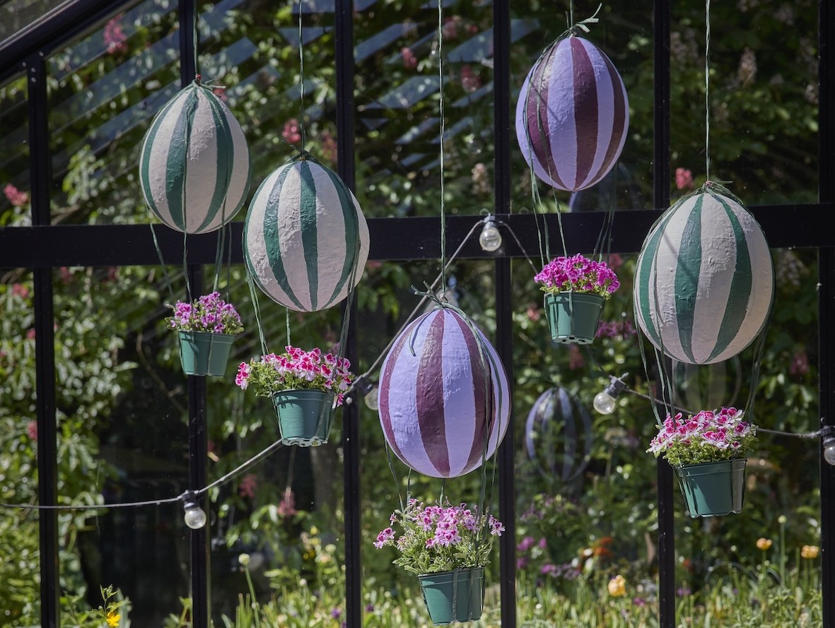 gerani ph Pelargonium for Europe
