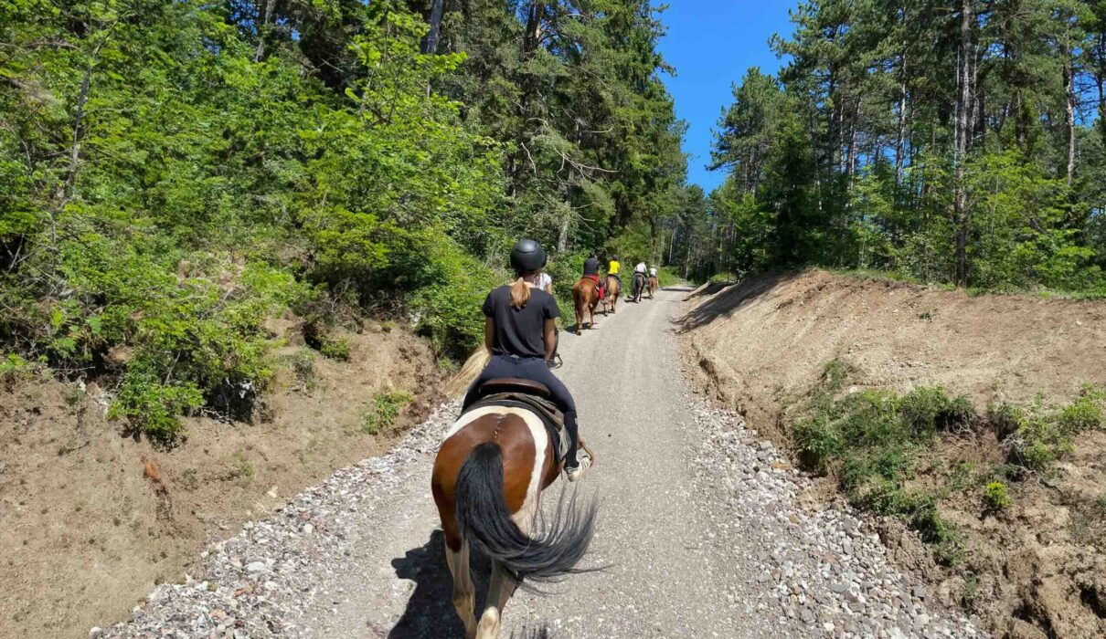 passeggiata-cavallo-val-di-non