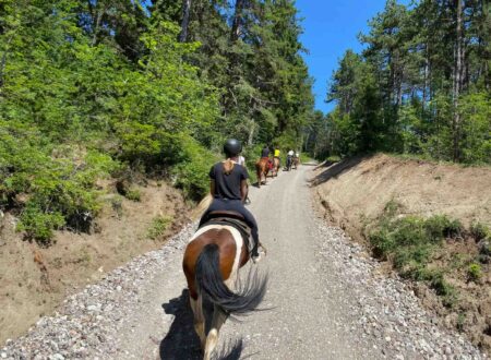 passeggiata-cavallo-val-di-non