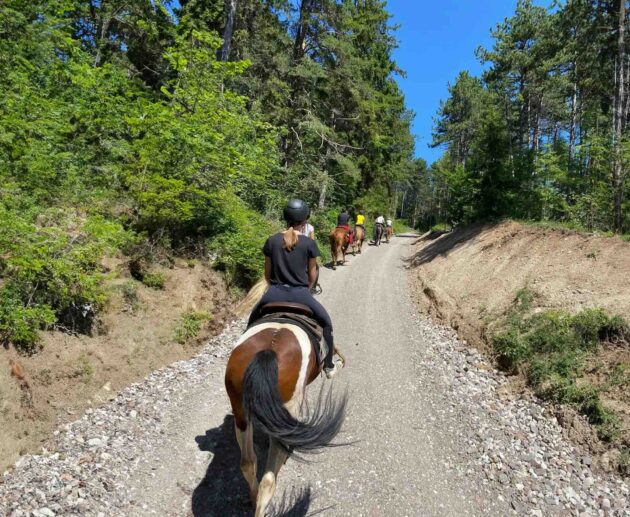 passeggiata-cavallo-val-di-non
