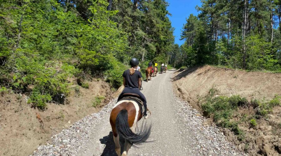 passeggiata-cavallo-val-di-non