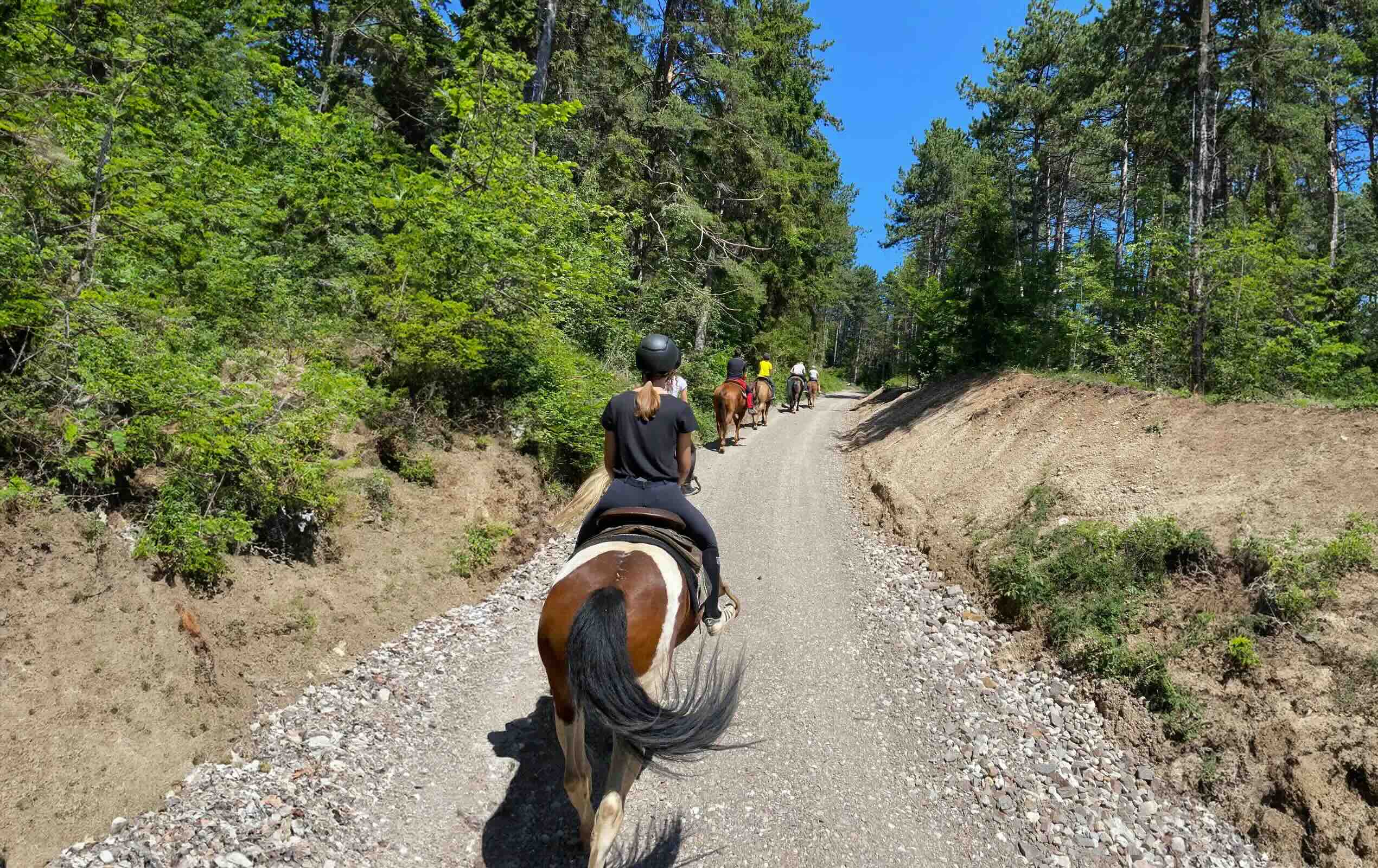passeggiata-cavallo-val-di-non