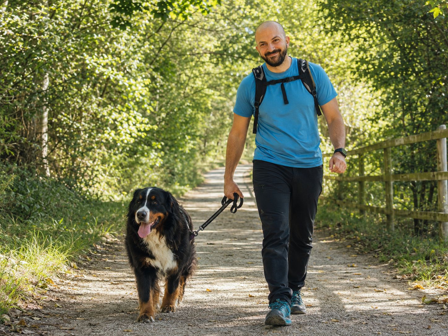 Amico Fido ph press