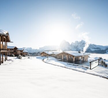 ADLER Alpe ph Press