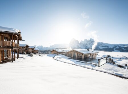 ADLER Alpe ph Press