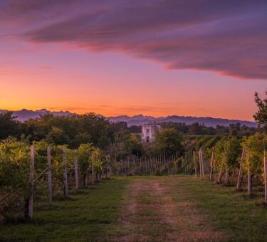 Alto Piemonte ph Press