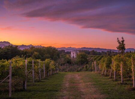 Alto Piemonte ph Press