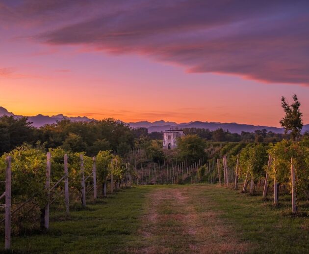 Alto Piemonte ph Press