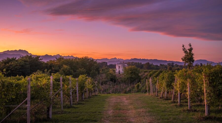 Alto Piemonte ph Press