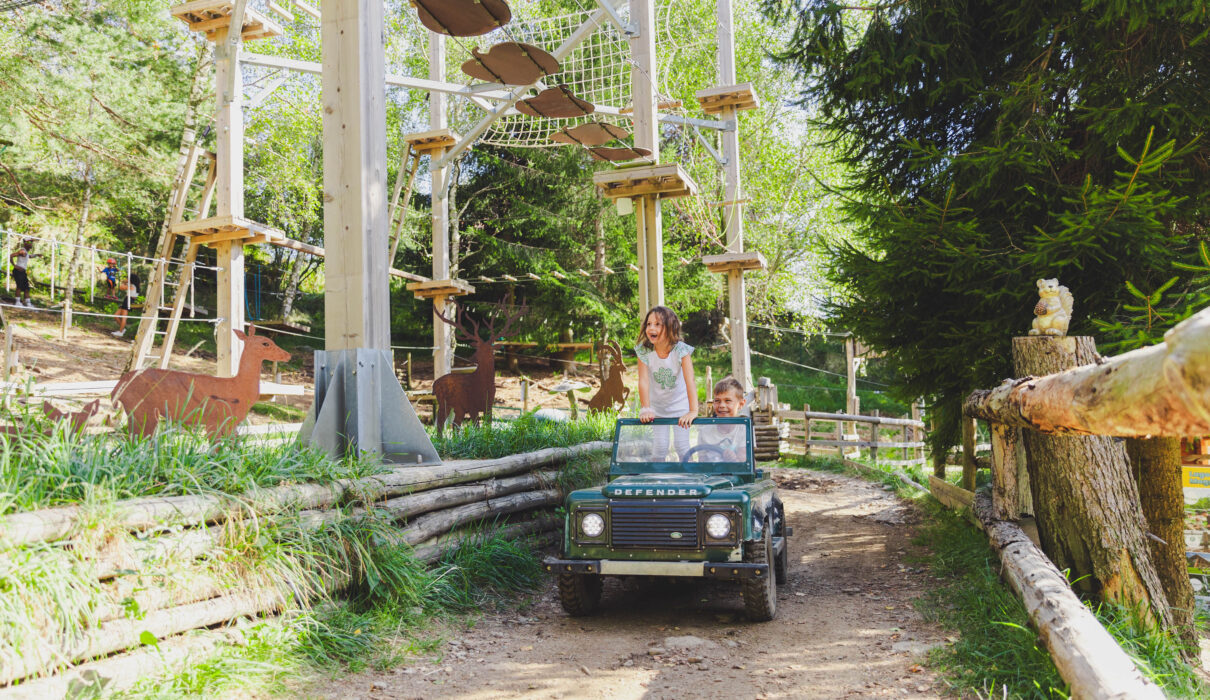 Wonderwood ph press