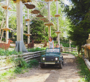 Wonderwood ph press