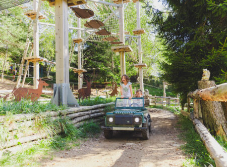 Wonderwood ph press