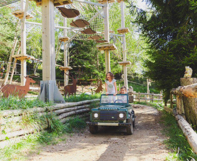 Wonderwood ph press