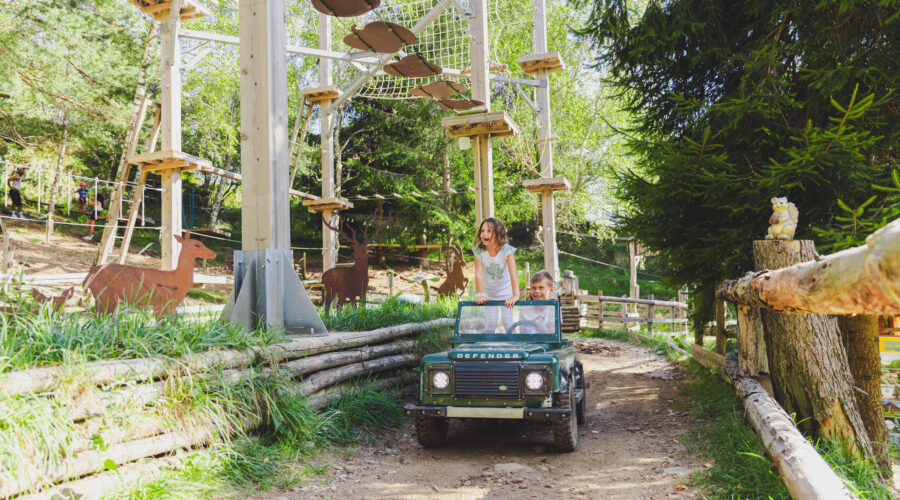 Wonderwood ph press