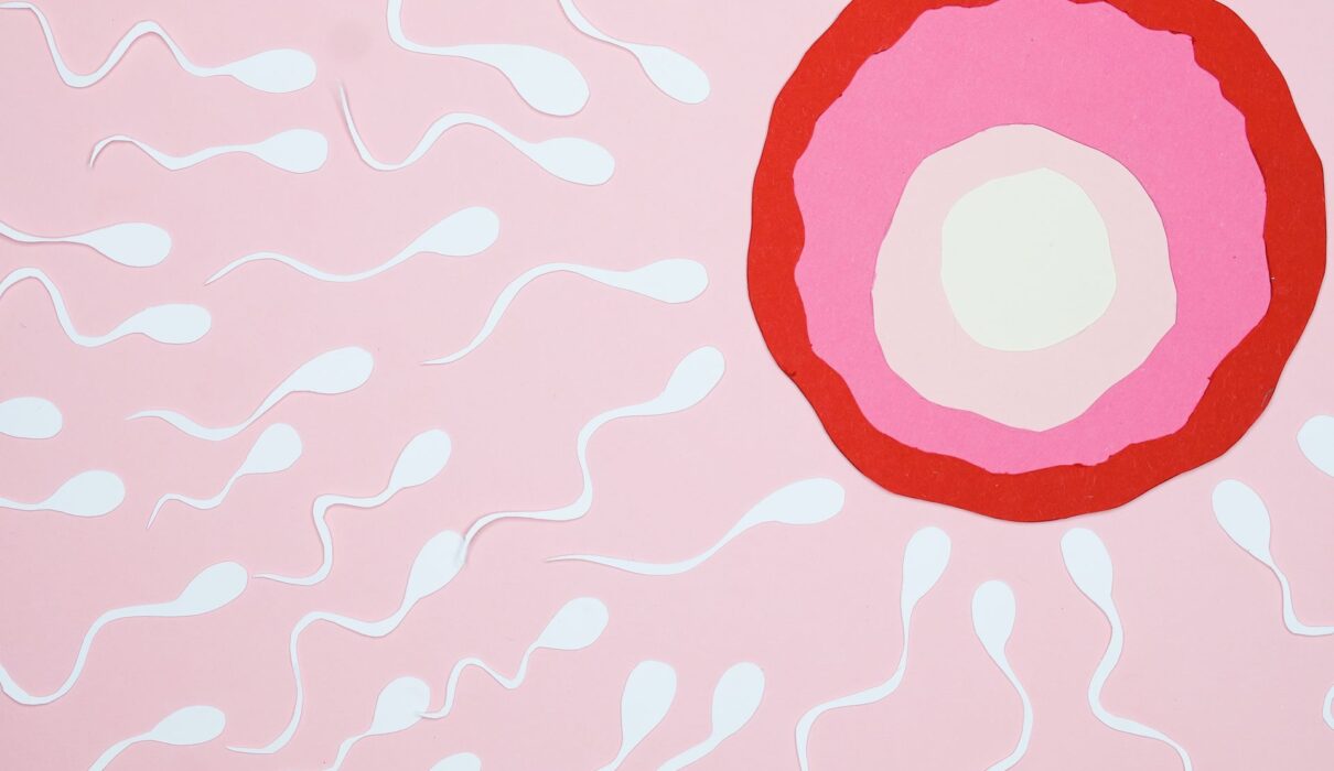 Fertilità ph Pexels