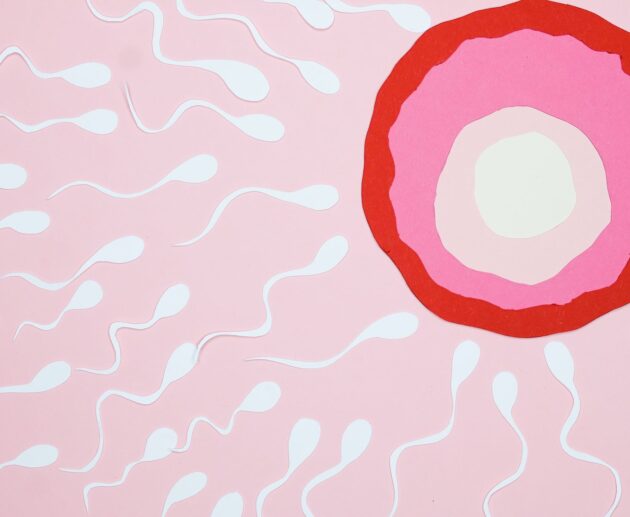Fertilità ph Pexels