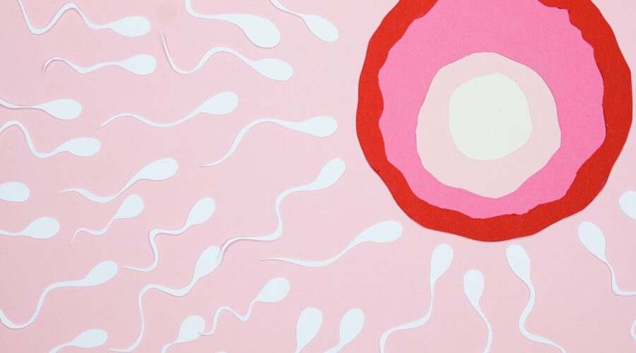 Fertilità ph Pexels
