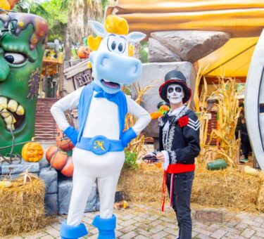 CavallinoMatto Halloween ph Press